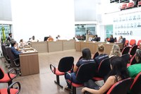 Plenário aprova indicações e requerimentos em 1ª sessão ordinária de março