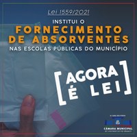 Promulgada a lei que garante o fornecimento de absorventes em escolas públicas